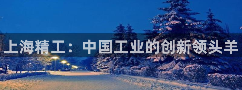 意昂3娱乐首页网站大全：上海精工：中国工业的创新领头羊
