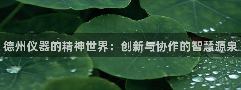 意昂体育3联系电话