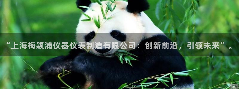 意昂平台体育：“上海梅颖浦仪器仪表制造有限公司：创新前沿，引