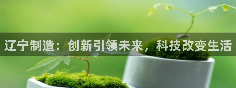 意昂3集团官网首页网址：辽宁制造：创新引领未来，科技改变生活