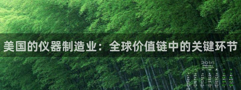意昂平台体育：美国的仪器制造业：全球价值链中的关键环节