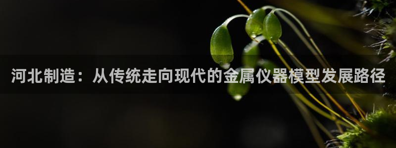 意昂体育3平台注册要钱吗是真的吗：河北制造：从传统走向现代的