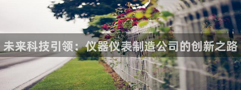 意昂体育3招商电话号码是多少啊：未来科技引领：仪器仪表制造公