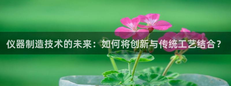 意昂3娱乐首页官网下载：仪器制造技术的未来：如何将创新与传统