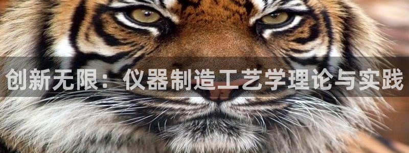 意昂3新能源：创新无限：仪器制造工艺学理论与实践