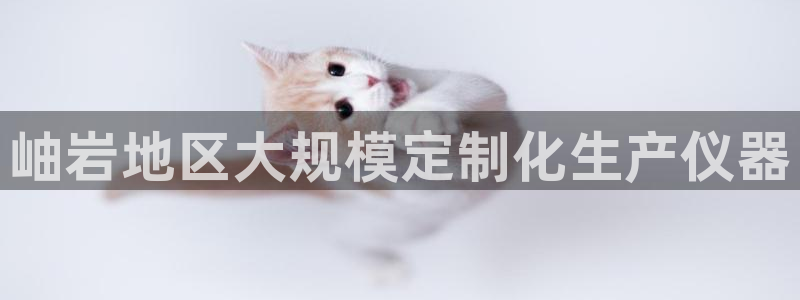 意昂体育3是干嘛的公司：岫岩地区大规模定制化生产仪器