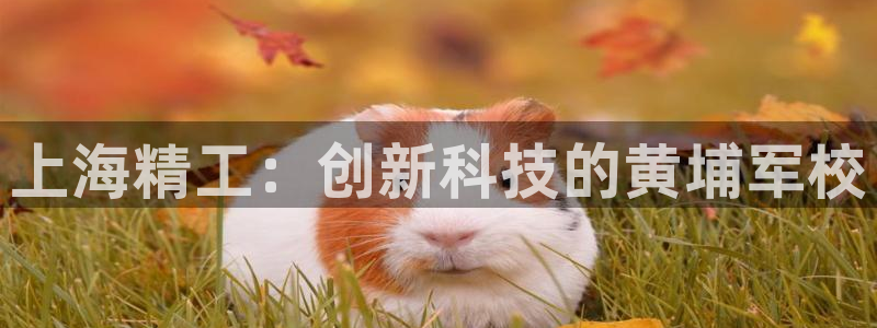意昂体育3招商电话号码查询：上海精工：创新科技的黄埔军校