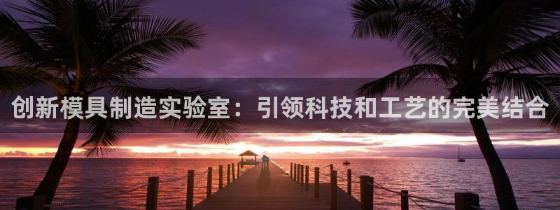 意昂体育3平台假的吗是真的吗：创新模具制造实验室：引领科技和