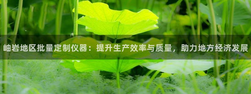 意昂体育3平台是正规平台吗：岫岩地区批量定制仪器：提升生产效