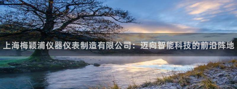 意昂3集团简介：上海梅颖浦仪器仪表制造有限公司：迈向智能科技