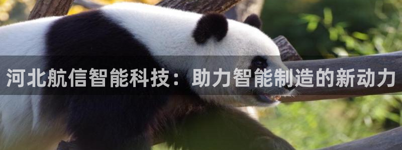 意昂体育3平台注册要钱吗是真的吗：河北航信智能科技：助力智能