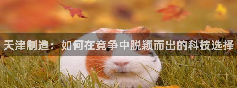 意昂体育3招商电话地址：天津制造：如何在竞争中脱颖而出的科技