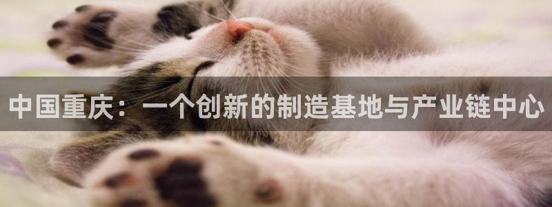 意昂体育3招商电话是多少：中国重庆：一个创新的制造基地与产业