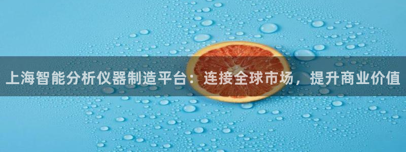 意昂3娱乐平台：上海智能分析仪器制造平台：连接全球市场，提升