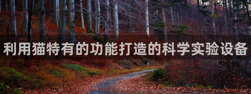意昂体育3招商电话号码查询：利用猫特有的功能打造的科学实验设
