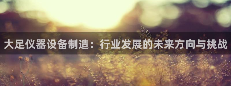 意昂体育3招商电话：大足仪器设备制造：行业发展的未来方向与挑