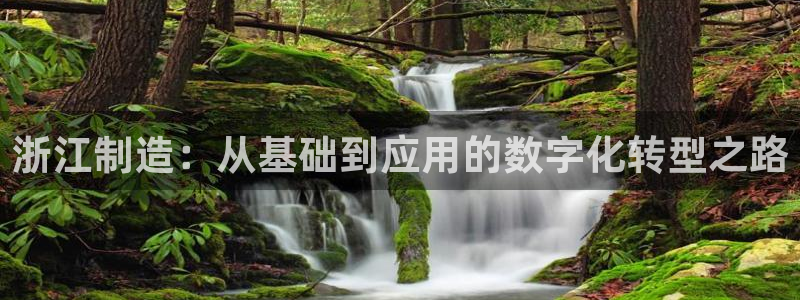 意昂体育3平台注册流程图：浙江制造：从基础到应用的数字化转型