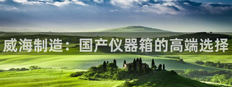 德国意昂3集团：威海制造：国产仪器箱的高端选择