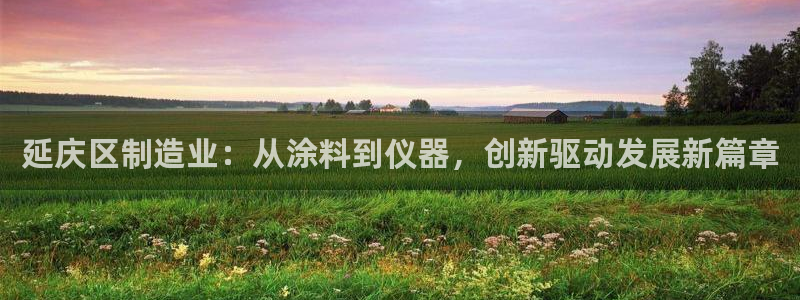 意昂3代理：延庆区制造业：从涂料到仪器，创新驱动发展新篇章