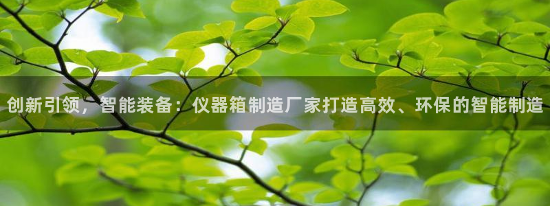 意昂体育3招商电话地址是多少：创新引领，智能装备：仪器箱制造