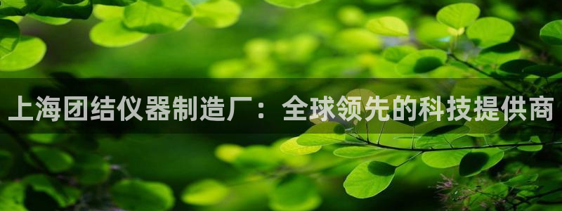 意昂3官网：上海团结仪器制造厂：全球领先的科技提供商