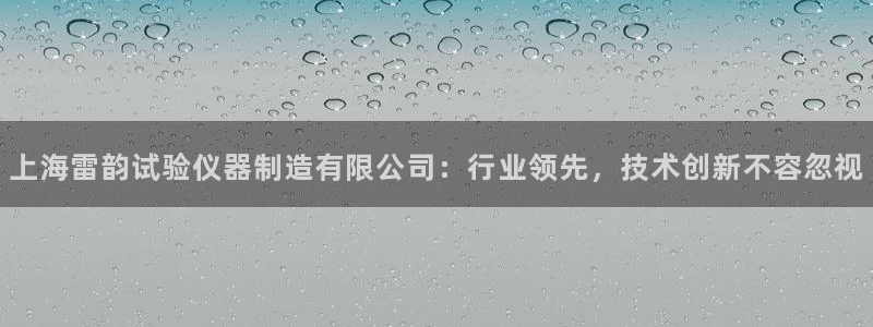 意昂体育3娱乐：上海雷韵试验仪器制造有限公司：行业领先，技术