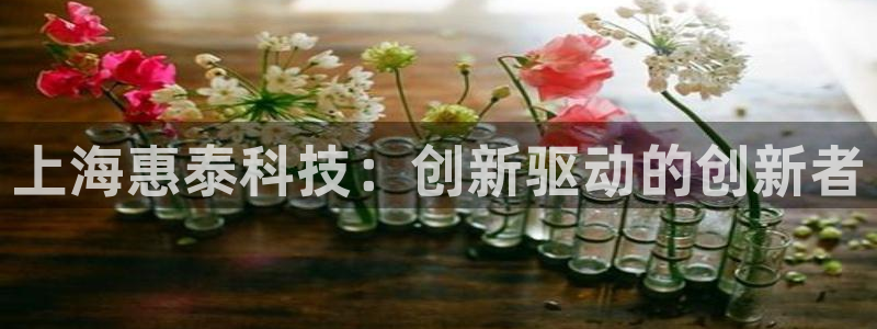 意昂体育3招商电话号码查询：上海惠泰科技：创新驱动的创新者