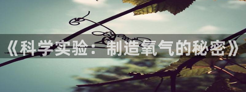 海南意昂体育3发展怎么样：《科学实验：制造氧气的秘密》