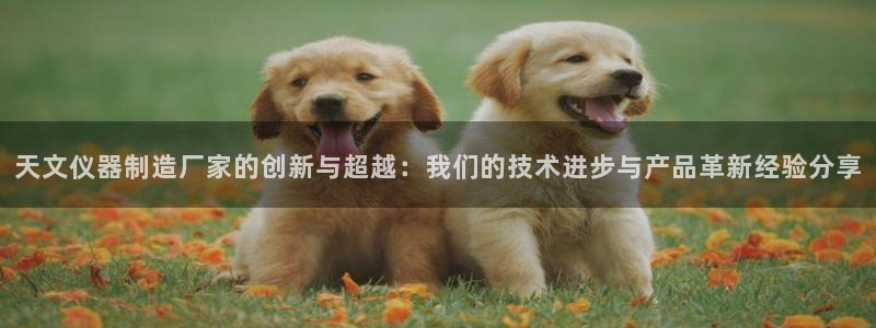 意昂体育3是干嘛的公司：天文仪器制造厂家的创新与超越：我们的