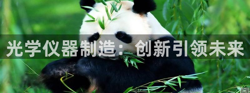 意昂体育3招商电话号码：光学仪器制造：创新引领未来