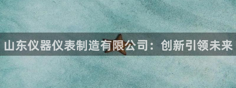 意昂3官方：山东仪器仪表制造有限公司：创新引领未来