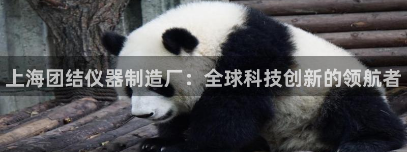 意昂体育3招商电话是多少号码：上海团结仪器制造厂：全球科技创