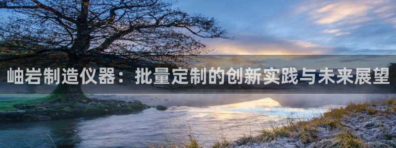 意昂3开户：岫岩制造仪器：批量定制的创新实践与未来展望