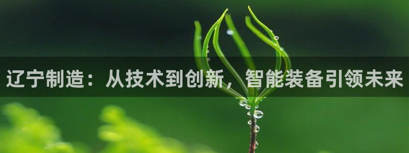 意昂体育3娱乐：辽宁制造：从技术到创新，智能装备引领未来