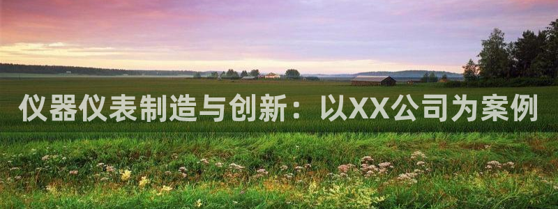 意昂体育3平台注册：仪器仪表制造与创新：以XX公司为案例