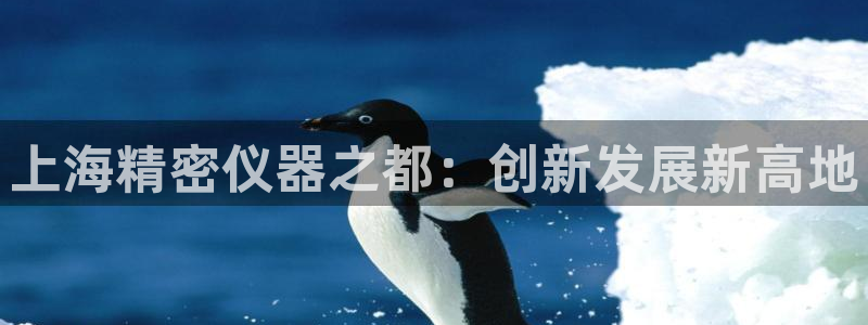 意昂3娱乐网站：上海精密仪器之都：创新发展新高地