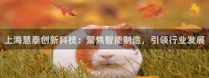 意昂体育3招商电话地址：上海慧泰创新科技：聚焦智能制造，引领