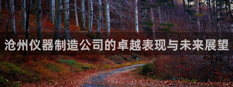 意昂体育3平台注册：沧州仪器制造公司的卓越表现与未来展望