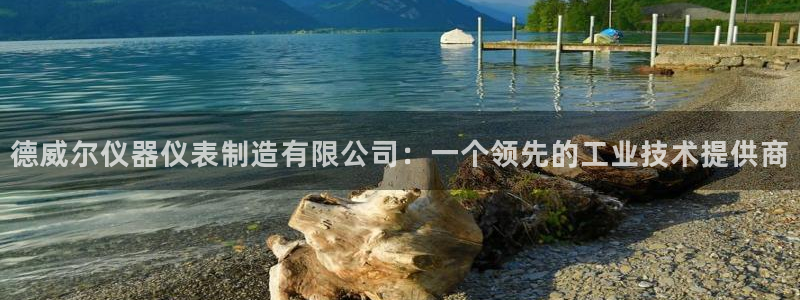 意昂集团官网：德威尔仪器仪表制造有限公司：一个领先的工业技术