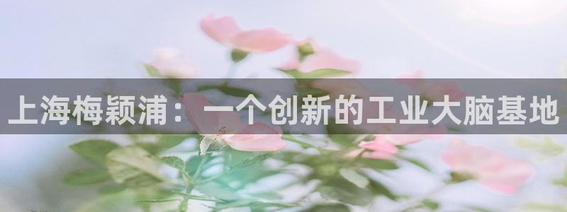 意昂体育3招商电话号码是多少号：上海梅颖浦：一个创新的工业大