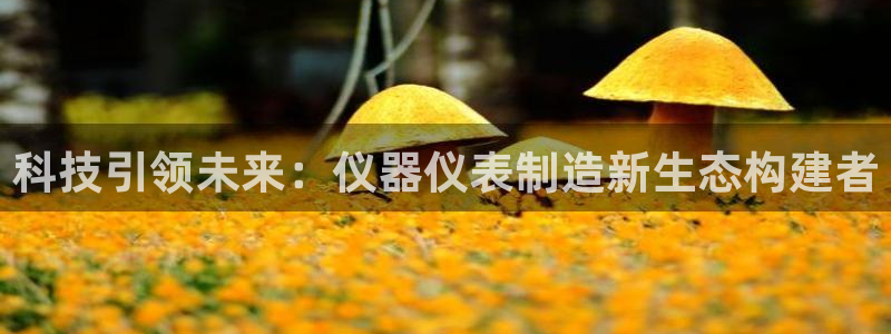 海南意昂体育3：科技引领未来：仪器仪表制造新生态构建者