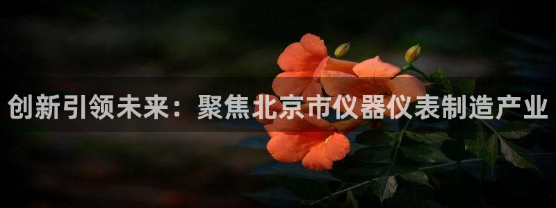 海南意昂体育3发展怎么样：创新引领未来：聚焦北京市仪器仪表制