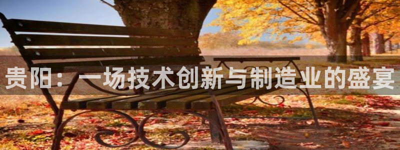 意昂3代理：贵阳：一场技术创新与制造业的盛宴