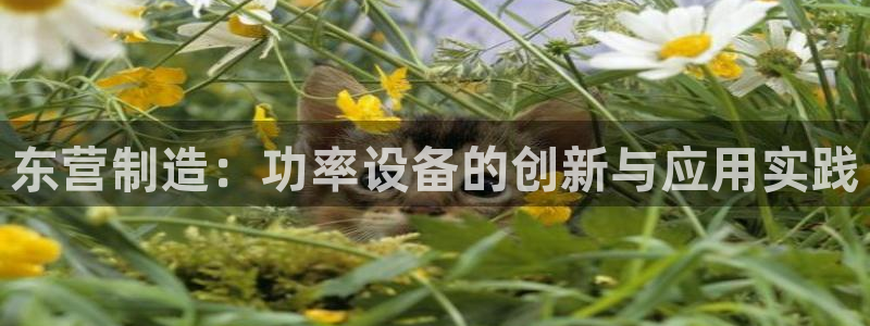 意昂体育3平台注册流程图：东营制造：功率设备的创新与应用实践