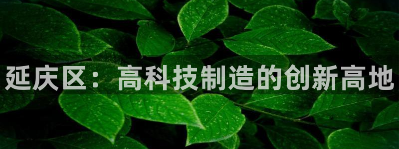意昂集团官网：延庆区：高科技制造的创新高地