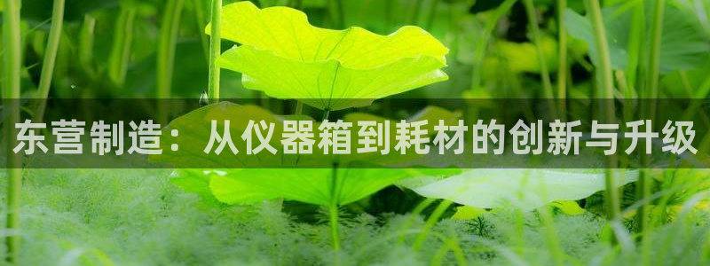 意昂3集团E.ON：东营制造：从仪器箱到耗材的创新与升级