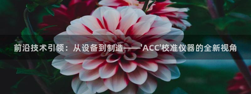 意昂3五金厂：前沿技术引领：从设备到制造——\'ACC\'校