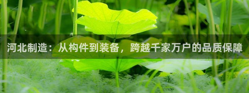 意昂体育3平台：河北制造：从构件到装备，跨越千家万户的品质保