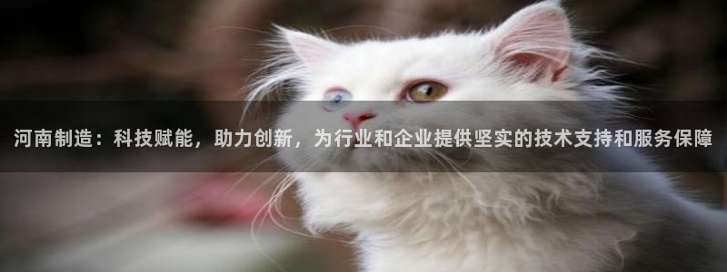意昂体育3软件：河南制造：科技赋能，助力创新，为行业和企业提