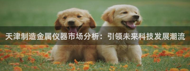 意昂3五金厂：天津制造金属仪器市场分析：引领未来科技发展潮流